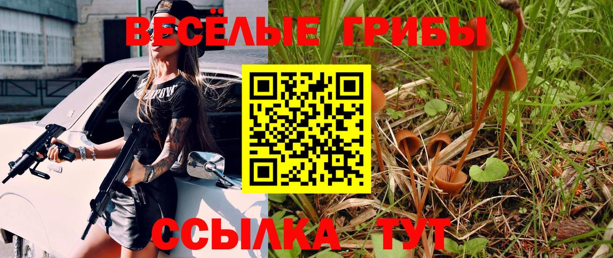 Галлюциногенные грибы Cubensis Уварово